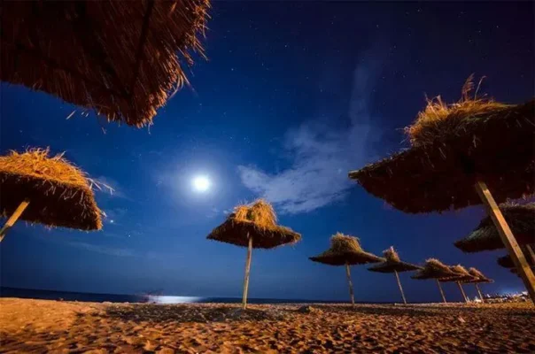 Moon shining over wooden umbrellas on the beach.