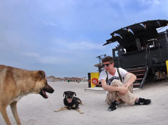 A young man in sunglasses sits on the sand next to stray dogs in front of the Black Pearl bar in Vama Veche.