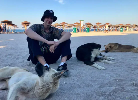 A young man in a bucket hat sits on the beach surrounded by stray dogs resting under straw umbrellas in Vama Veche.