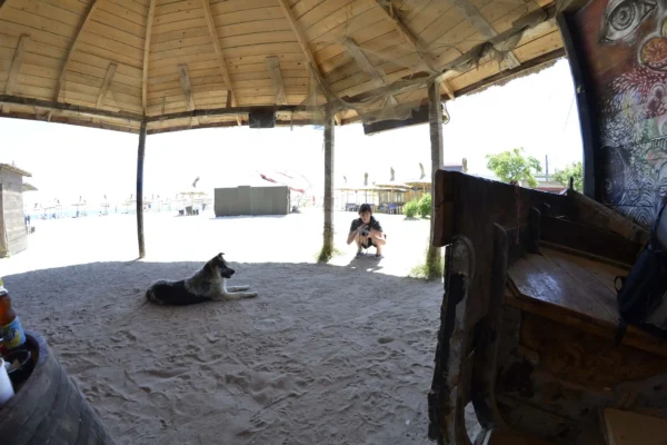 A dog rests in the sand under a shaded wooden structure while a photographer crouches nearby in Vama Veche.
