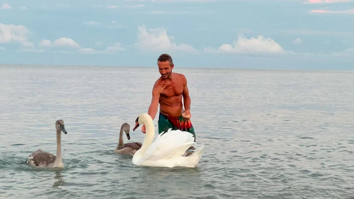 A shirtless man in tie-dye shorts feeds swans in shallow seawater.