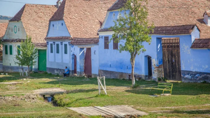 Traditional blue-painted Saxon houses with steep tiled roofs along the main street of Viscri.