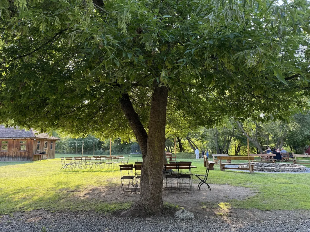 Shaded garden at Valea Verde Retreat in Cund, with outdoor tables, wooden benches and a large tree at the center.