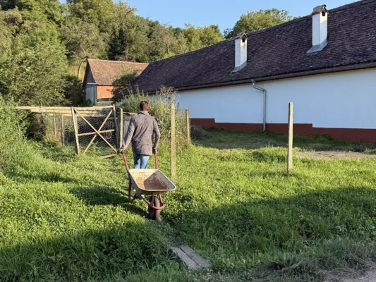 Local resident pushing a wheelbarrow through a grassy yard beside a traditional house in Cund.