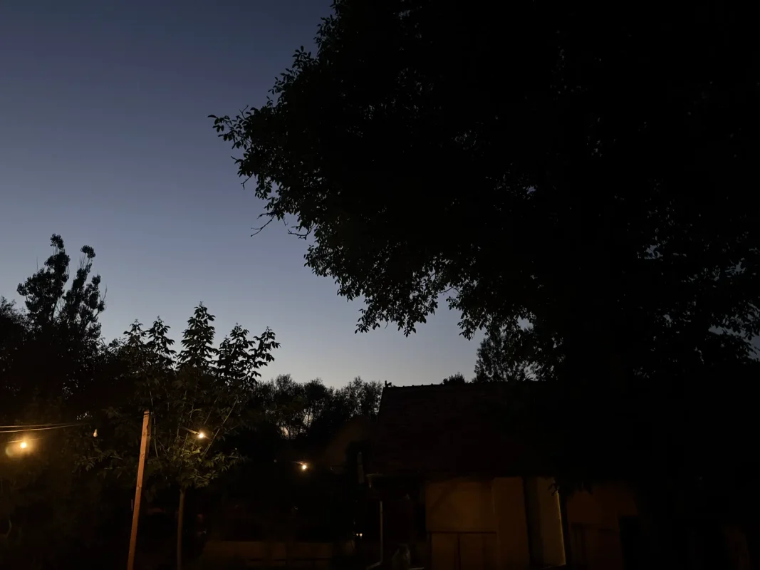 Dark silhouettes of trees and village roofs in Cund during blue hour, with a few warm lights glowing below.