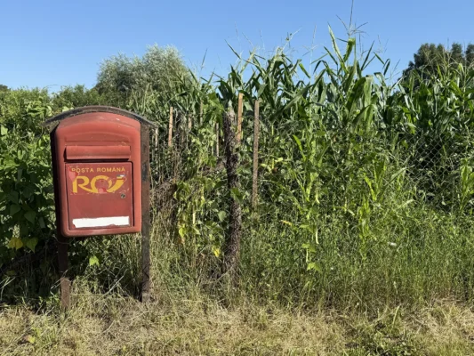 Red Romanian Post mailbox beside a cornfield on the edge of Cund village.