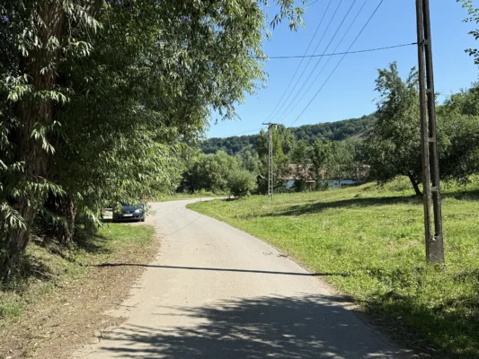 Quiet village road winding through trees and green hills in Cund, Transylvania.