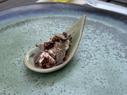 Valea Verde amuse-bouche with quince, berries, cream and freshly shaved truffle served on a ceramic spoon.