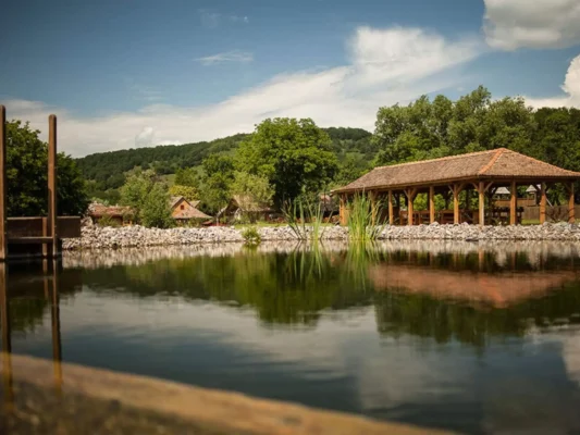 Natural swimming pond at Valea Verde in Cund, surrounded by trees and the Transylvanian hills.
