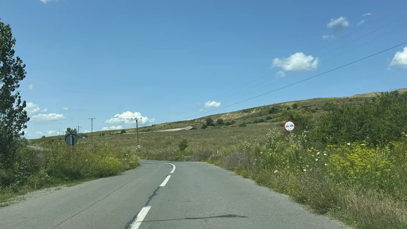 Winding road through the rolling hills of southern Transylvania, bordered by midsummer wildflowers and grasslands.